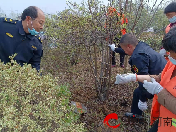 确山县城管局：开展园林绿化养护 为市民打造靓丽春天Kaiyun 开云(图4)
