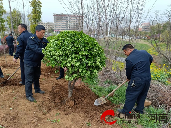 确山县城管局：开展园林绿化养护 为市民打造靓丽春天Kaiyun 开云(图5)