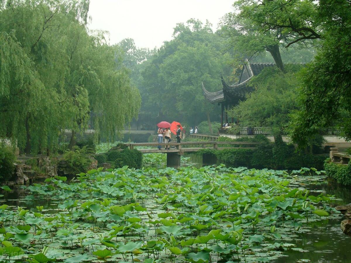 开云 开云体育官网园林绿化中植物设计技巧(图1)