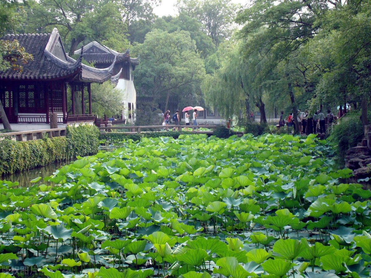 开云 开云体育官网园林绿化中植物设计技巧(图3)