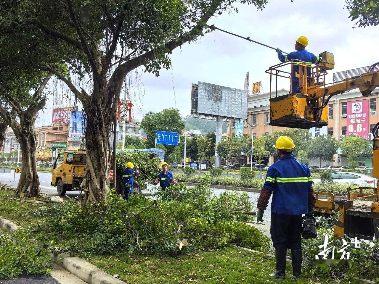 开云APP 开云官网入口增植绿化约2900株阳春提升城市绿化品质(图1)