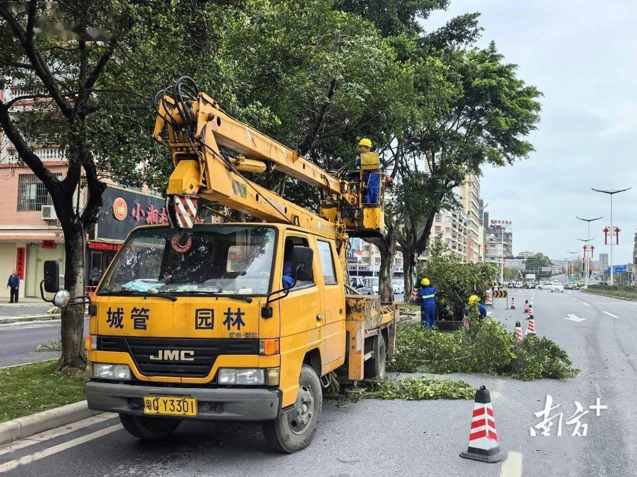 开云APP 开云官网入口增植绿化约2900株阳春提升城市绿化品质(图2)