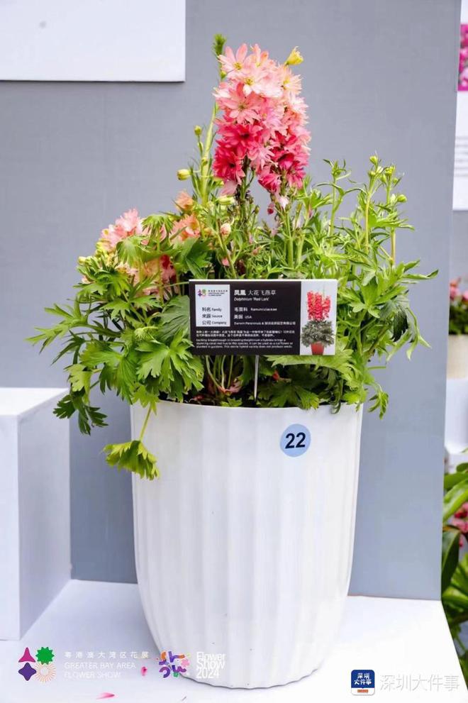 深圳“五园连通”的丝滑在粤港澳大湾区花展中展现开云体育 Kaiyun.com 官网入口(图2)