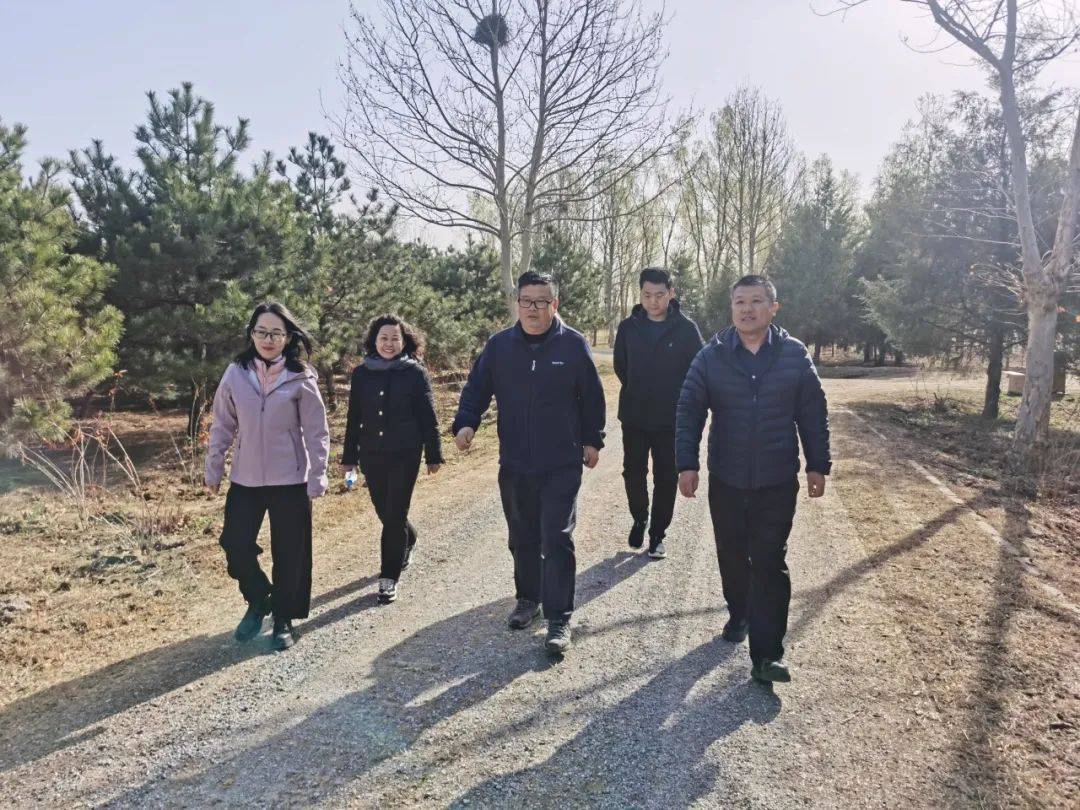 区园林绿化局开展林地、绿地养护管理和森林防火工作专项检查开云体育 开云官网(图1)
