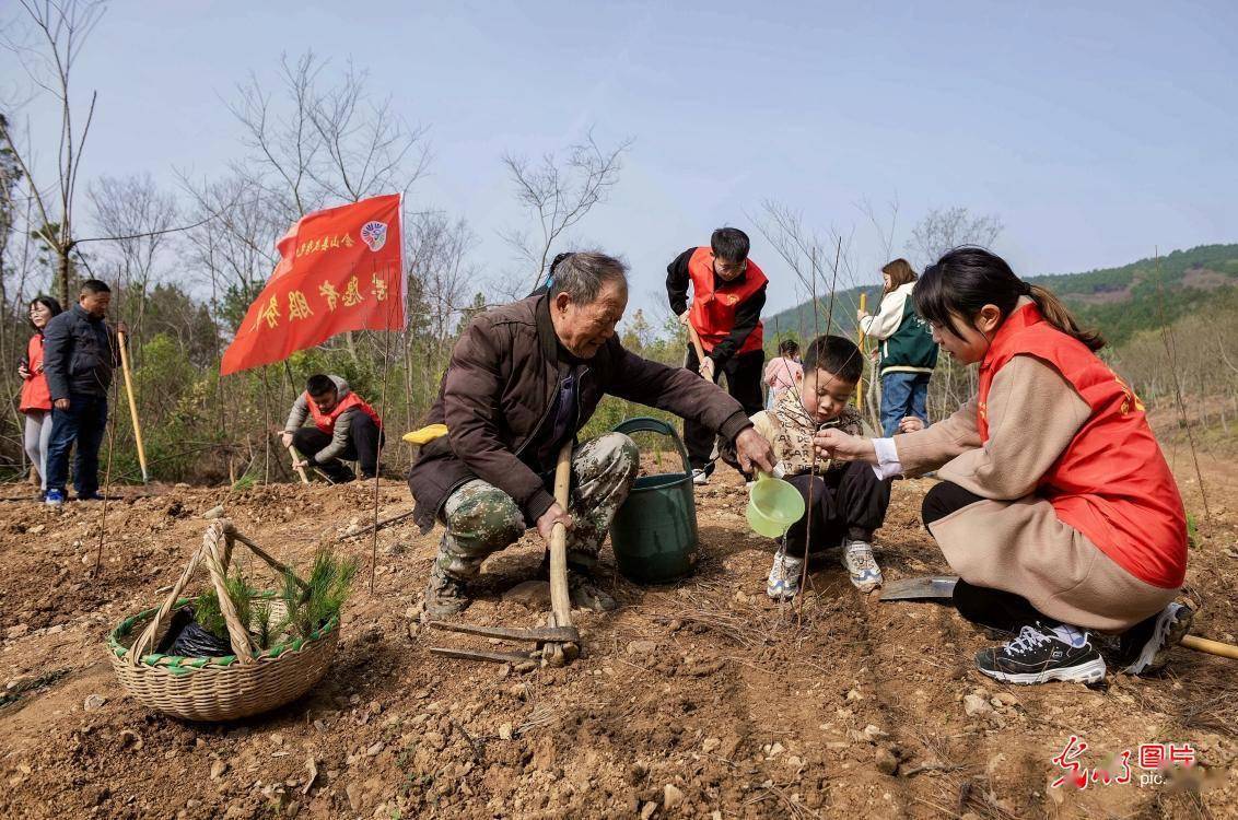 植树添新绿 开云体育 开云官网不负好春光(图3)