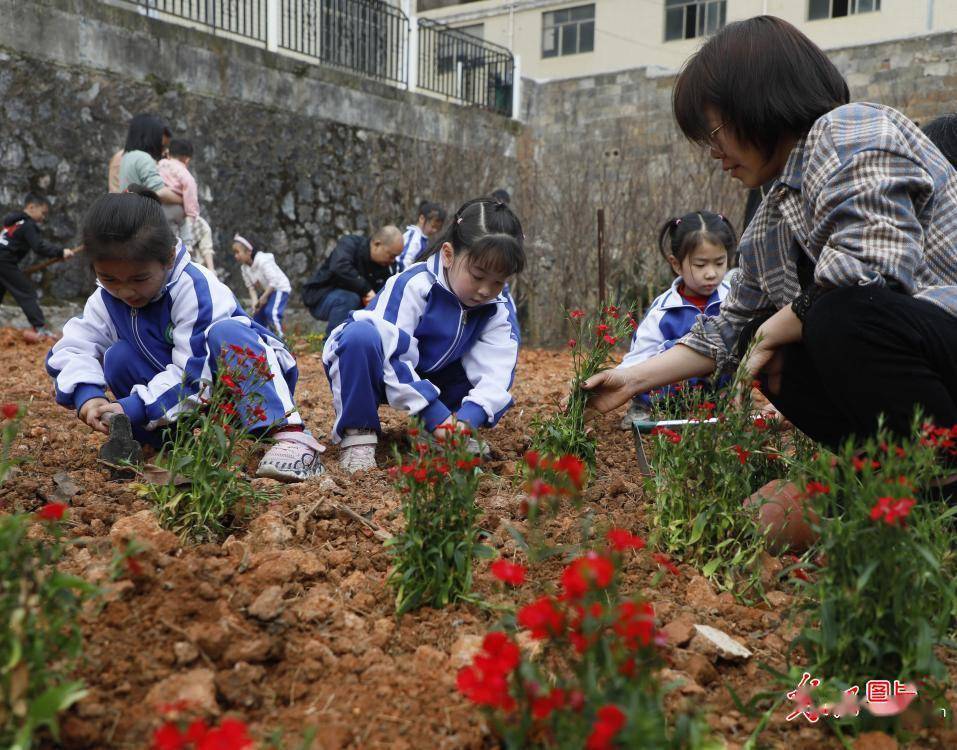 植树添新绿 开云体育 开云官网不负好春光(图4)