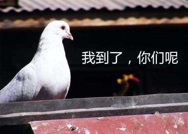 Kaiyun 开云体育温馨提示：本案主角近期正受「地磁暴」影响(图2)
