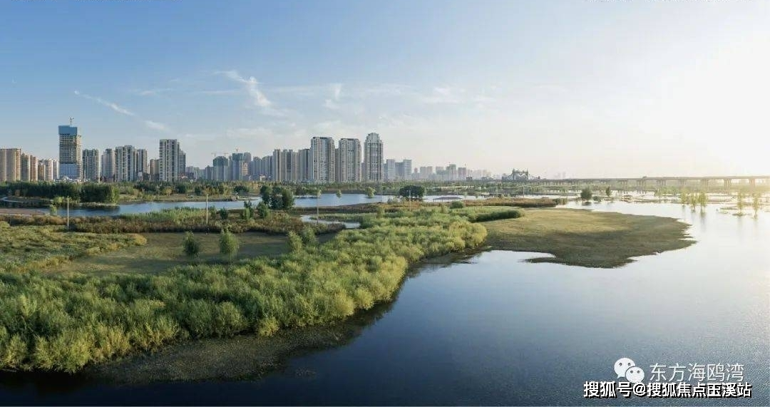 海南东方海Kaiyun 开云体育鸥湾小区实景图~环境、绿化实景图(图1)