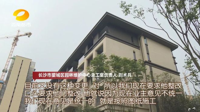 现实版“图片仅供参考”？华润桃源里小区业主质问开发商：我们的园林景观怎么缩水了？Kaiyun 开云体育(图7)