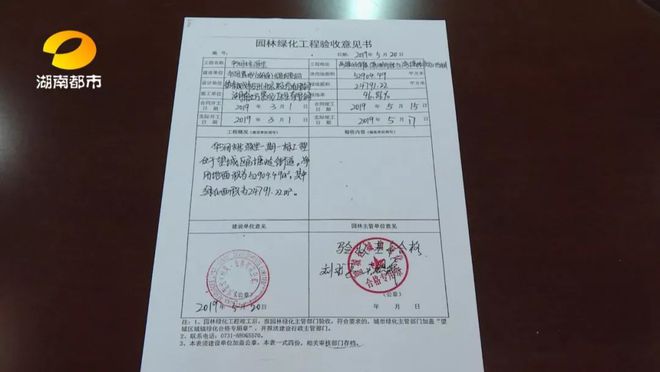 现实版“图片仅供参考”？华润桃源里小区业主质问开发商：我们的园林景观怎么缩水了？Kaiyun 开云体育(图8)