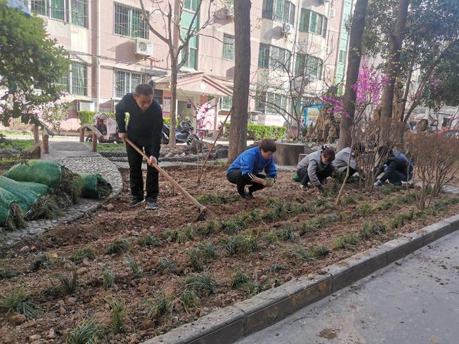 开云 开云体育官网陕西咸阳：芙蓉社区天宏小区开展植绿行动(图2)
