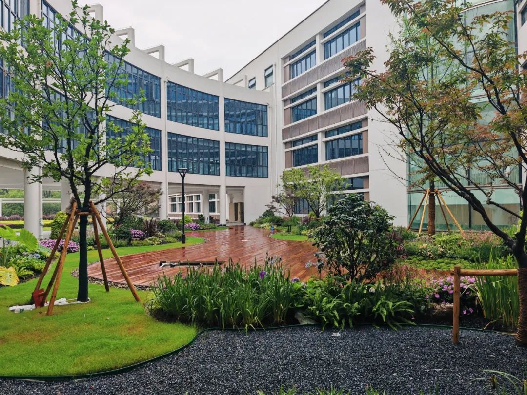 普陀这所学校项目竣工拟开云体育 开云官网于新学期前交付(图4)