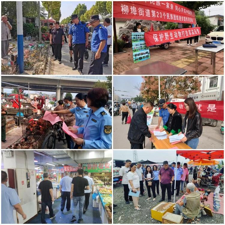 济南市园林开云 开云体育官网和林业绿化局组织开展野生动物保护联合执法检查专项行动_泉城新闻_大众网(图1)