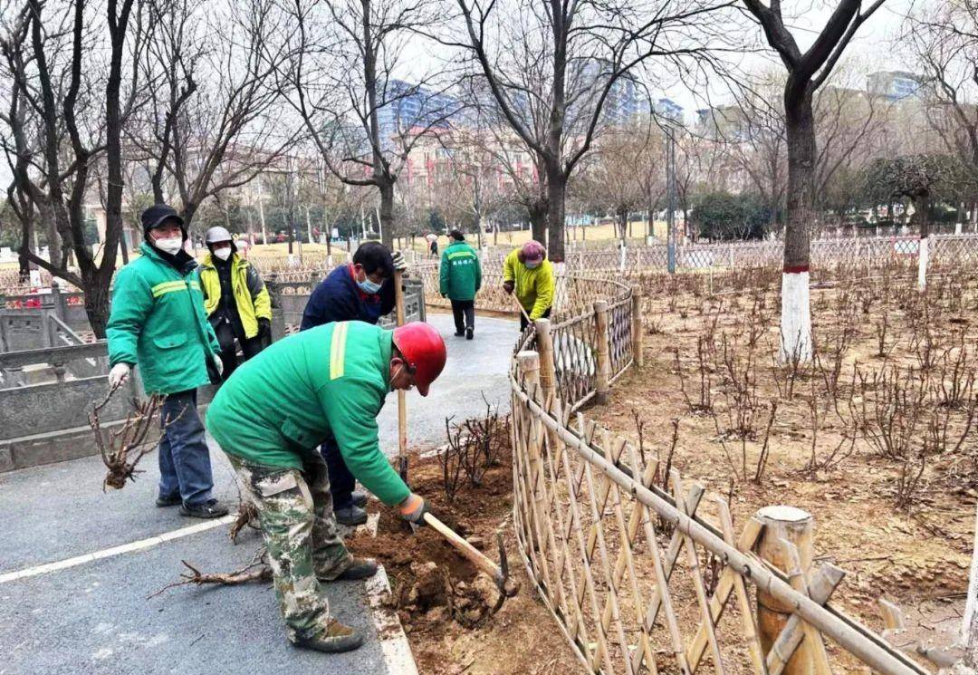今年将绿化3公园1开云 开云体育平台廊道10余条道路！巩义市“颜值”将再提升(图2)