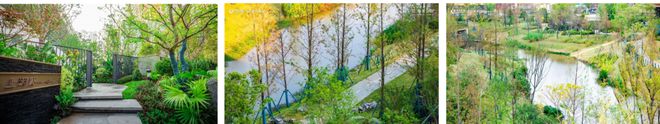 开云体育 Kaiyun.com 官网入口产品力指标横评③ ▏园林景观篇：现代、新中式成主流趋势硬景软景是调节园林布局的点睛之笔(图9)