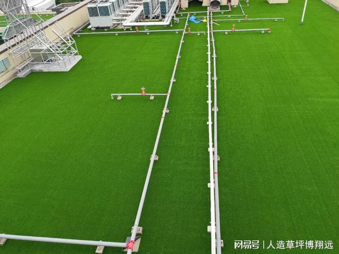 Kaiyun 开云体育景观人造草坪： 价格多少钱一平方(图2)