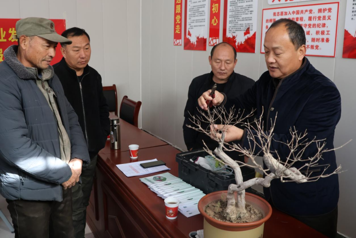 济南市园林和林业绿化事业发展中心开展“济南园·林惠民行”志愿服务开云体育 开云平台活动(图3)