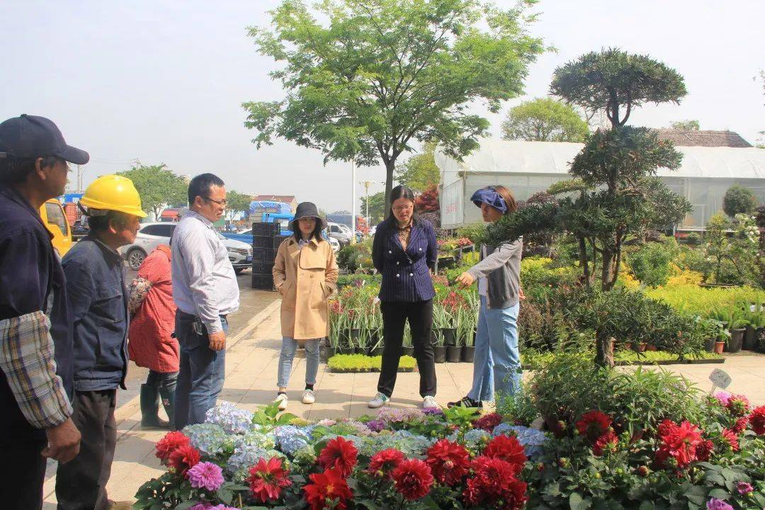 开云 开云体育官网园林绿化工程施工的具体流程有哪些？(图1)