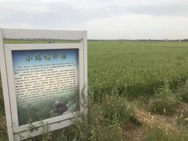 开云体育 开云平台这张“绿色规划图”关系到每个天津人的未来！(图3)