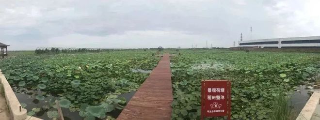 开云体育 开云平台这张“绿色规划图”关系到每个天津人的未来！(图5)