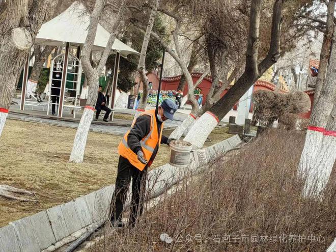 为绿色“加油” 园林绿化养护中心开展绿开云体育 开云平台地施肥复壮工作(图2)