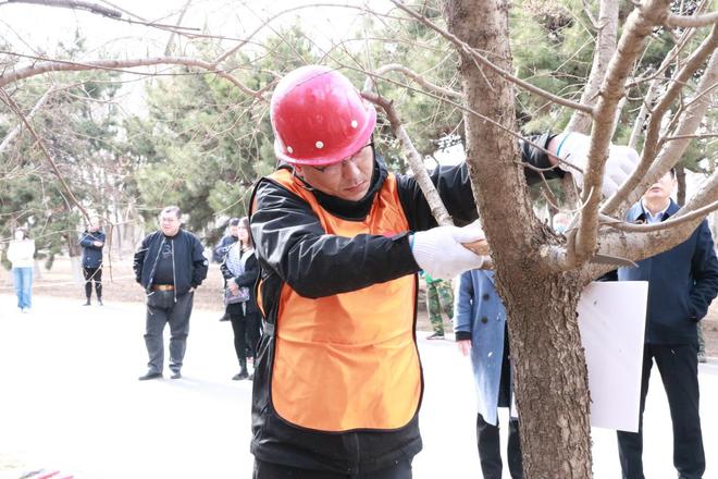 沈阳市和平区“比技能 当先锋 建新功”职工技能大赛暨全区园林绿化职工大赛落幕开云 开云体育官网(图2)