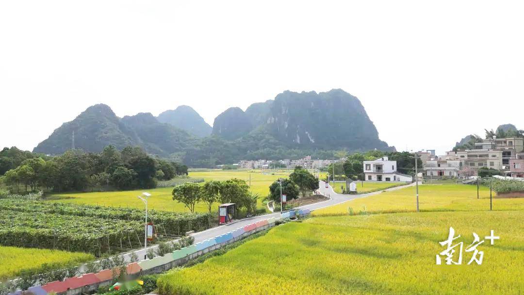 Kaiyun 开云“一图一表”植绿护绿“双联双促”建设绿美阳春(图1)