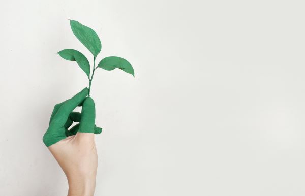 开云体育 Kaiyun.com 官网入口园林绿化企业(园林绿化公司名称)(图1)