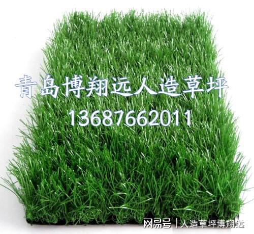 开云APP 开云官网入口围挡人造草坪（每平方价格？如何挑选？答案在这里）(图3)