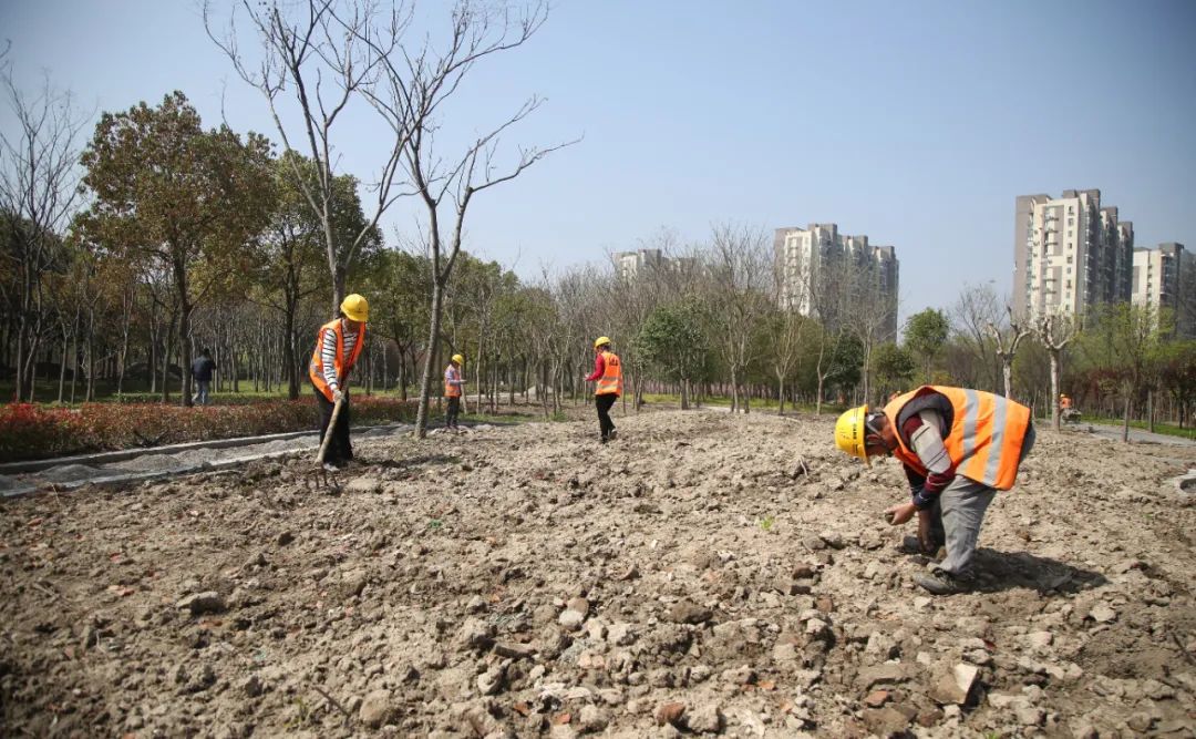 开云体育 开云平台蝶舞纷飞、花海漫游家门口的“梦中情园”6月开放！(图4)