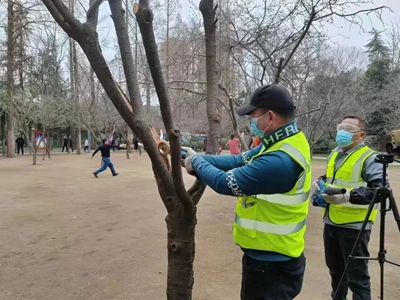 开云体育 开云官网织密“绿网” 向美而行——信阳市中心城区扎实推进冬春绿化提品质(图1)