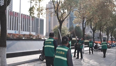 开云体育 开云官网织密“绿网” 向美而行——信阳市中心城区扎实推进冬春绿化提品质(图3)