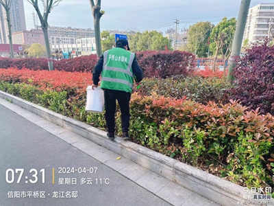 开云体育 开云官网织密“绿网” 向美而行——信阳市中心城区扎实推进冬春绿化提品质(图5)