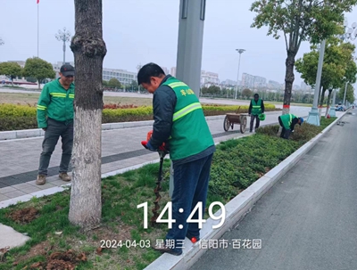 开云体育 开云官网织密“绿网” 向美而行——信阳市中心城区扎实推进冬春绿化提品质(图6)