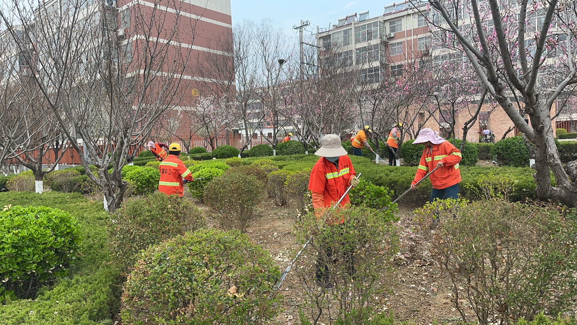 【美德信用口镇】口镇街道：花开满径春正好 园Kaiyun 开云林绿化养护忙(图1)