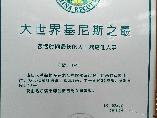 开云APP 开云官网入口开门迎客!哈尔滨128岁仙人掌又开花(图2) 开云APP 开云官网入口开门迎客!哈尔滨128岁仙人掌又开花(图2)