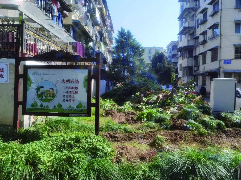 开云 开云体育平台市区一小区惊现隐患！业主吵翻了！(图2)