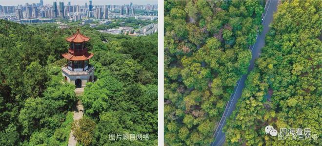 武汉光谷中央公园售楼中心—官方权威发布： 光谷中开云 开云体育官网央公园营销中心(图4)