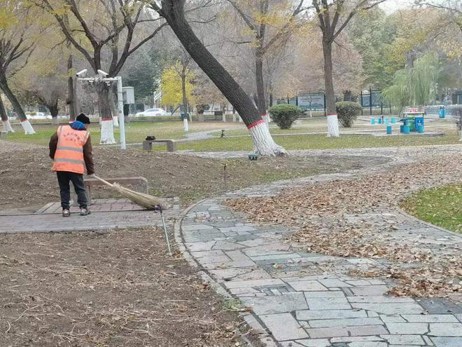 园开云体育 开云平台林绿化养护中心多措并举做好绿化越冬各项准备(图1)