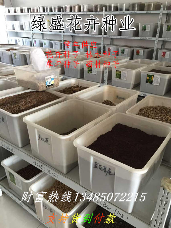 开云体育 Kaiyun.com 官网入口福山区道路绿化花草植物设计图(图3)