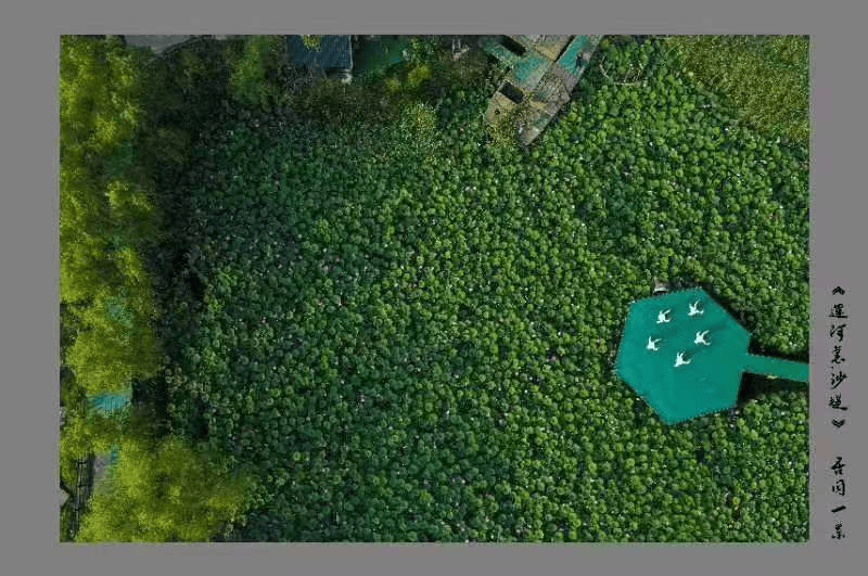 开云 开云体育官网榜上有名！济宁市一乡村入选全国乡村绿化美化模式范例(图3)