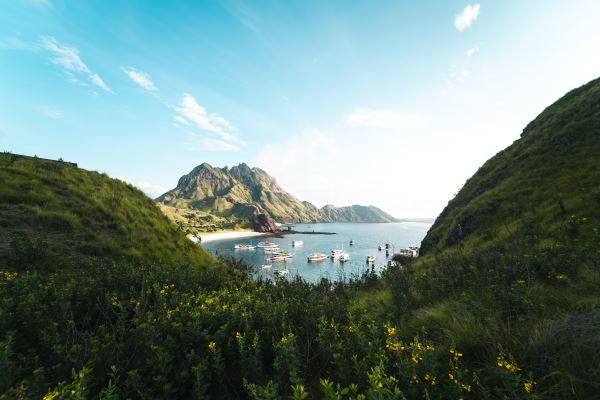 常州绿化招聘(园林绿化工程师月薪3000和年薪30万的区别)开云体育 开云官网(图3)