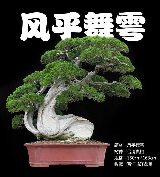 4个院子改造案开云APP 开云官网入口例前后对比(图1)
