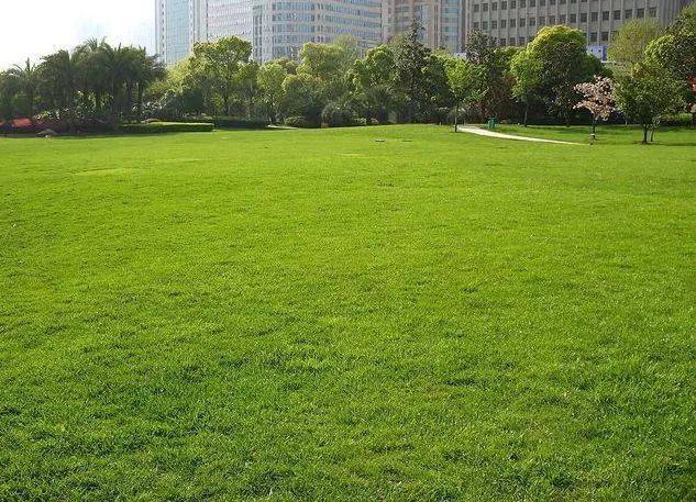 Kaiyun 开云体育图文解析 景观植物设计的配置方法(图4)