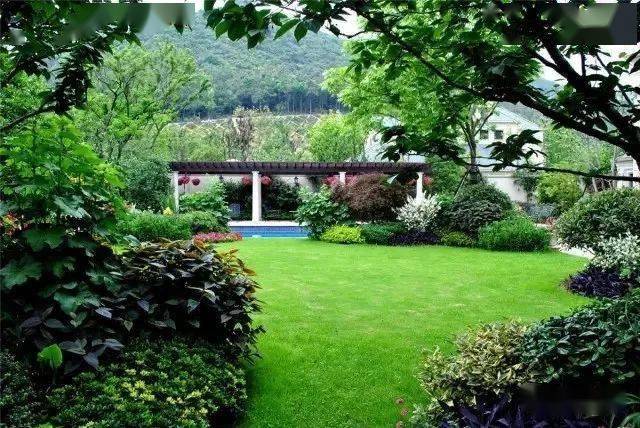 Kaiyun 开云体育图文解析 景观植物设计的配置方法(图5)