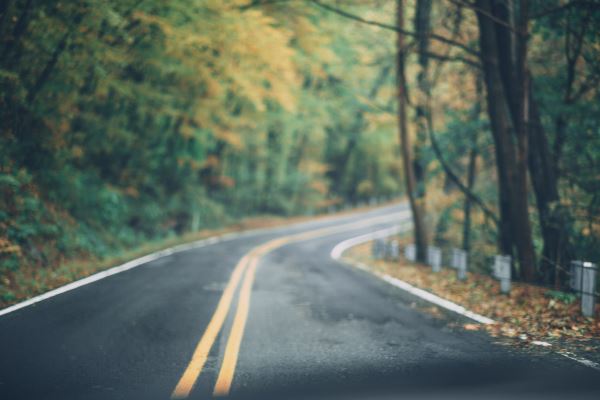 美开云APP 开云官网入口式庭院绿化(庭院景观设计的要点有哪些)(图3)