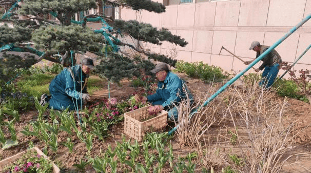 开云 开云体育平台九龙湾公园管理服务中心:正是春季好风光绿化养护正当时(图2) 开云 开云体育平台九龙湾公园管理服务中心:正是春季好风光绿化养护正当时(图2)