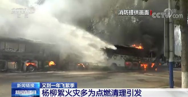 开云 开云体育平台市园林绿化局、市气象局发布2024年首次杨柳飞絮预报(图1)