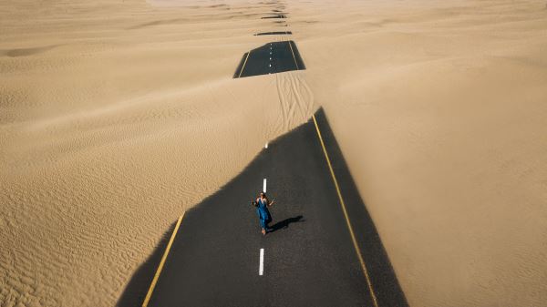 开云体育 开云平台上海绿化工程网(全国园林公司50强都有哪些啊)(图2)