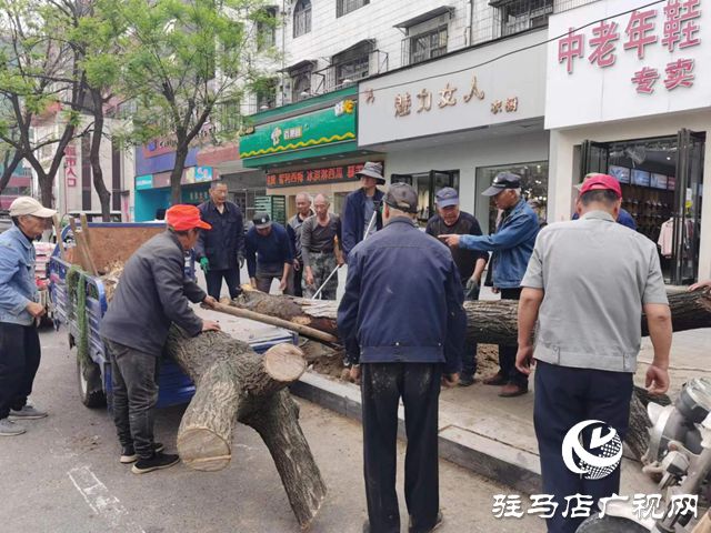 开云APP 开云官网入口驻马店市园林绿化处开展死树枯枝集中清理行动(图2)